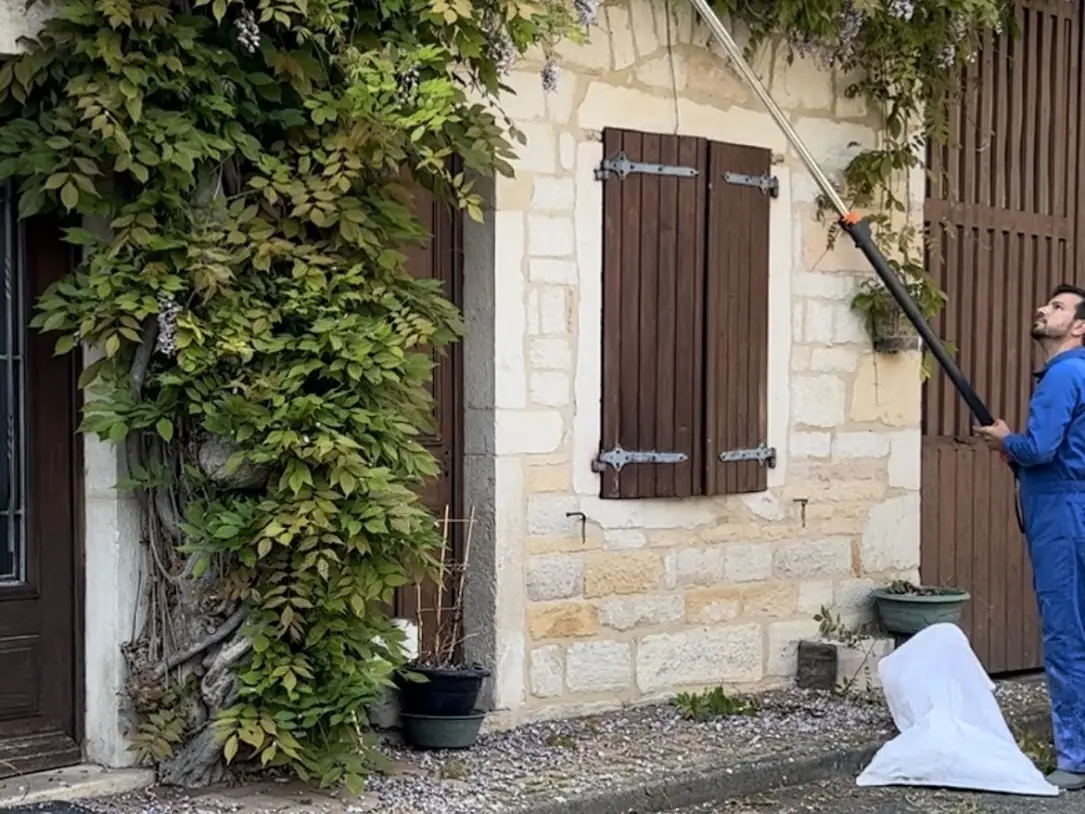 Stéphane, en combinaison bleue, taille à la perche une glycine qui couvre une façade en pierre aux volets bruns