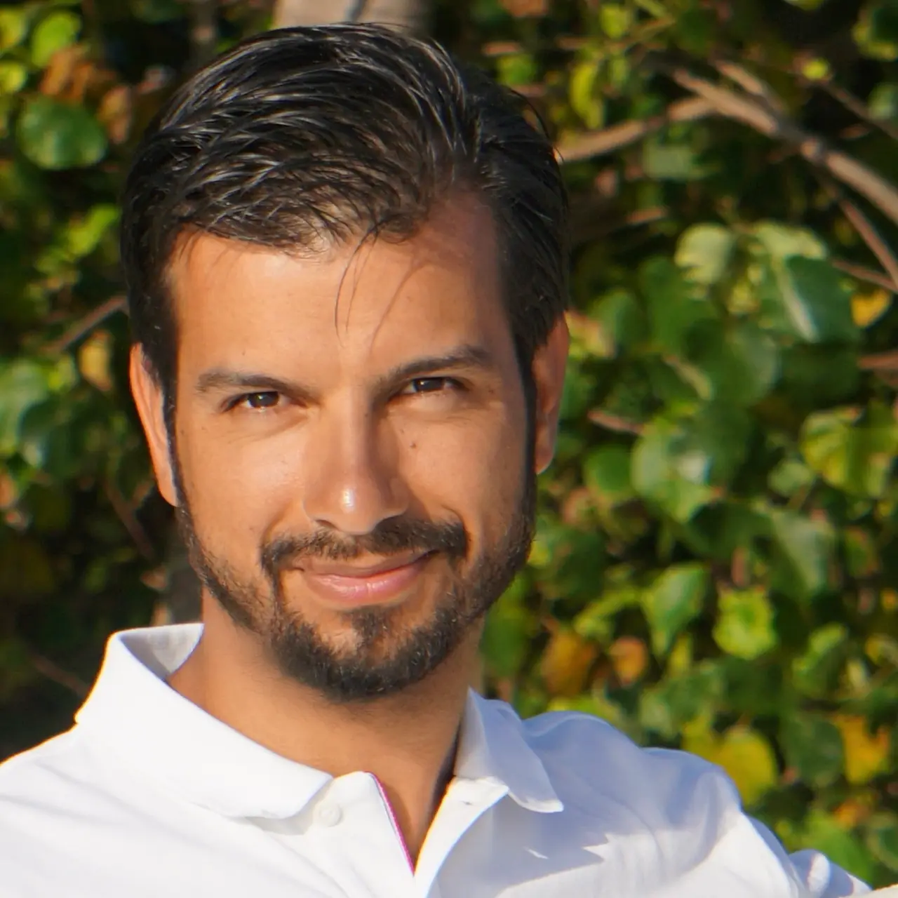 Stéphane REYES, artisan de Steph Entretien